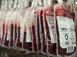 El Centre de Transfusió de la Comunitat Valenciana va registrar 175.117 unitats de sang